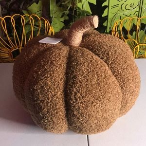 Pottery Barn cozy pumpkin pillow SOLD OUT!